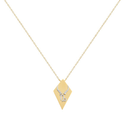 Not Just a Capricorn